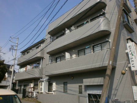 ひばりビル P6203264.jpg